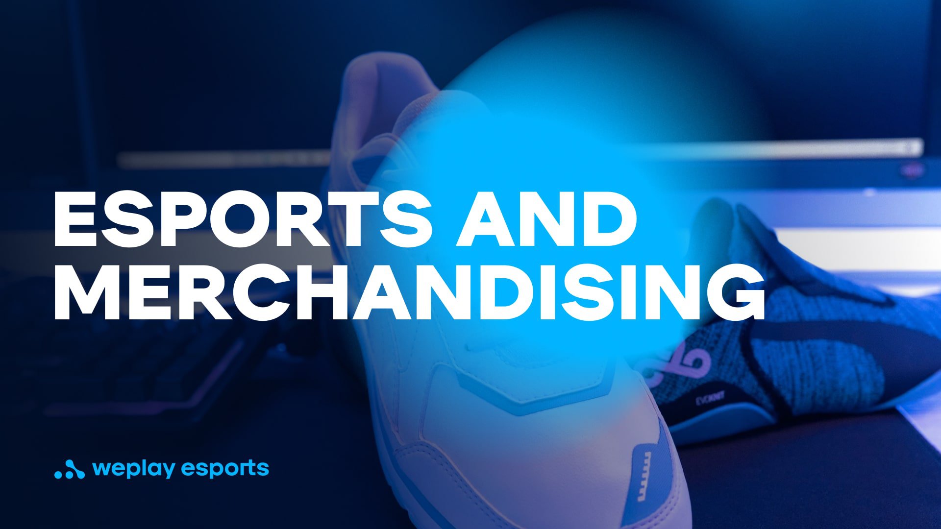 Esports and Merchandising. Credit: WePlay Holding