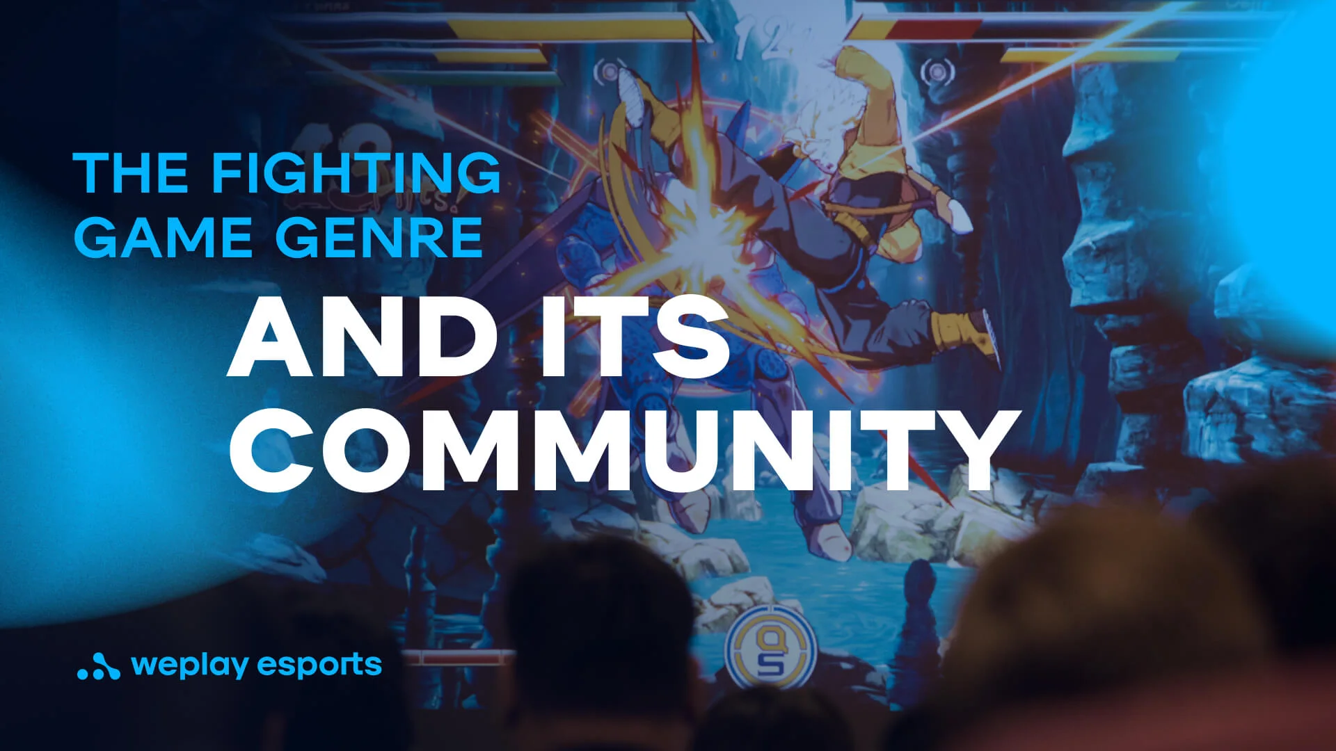 The fighting game genre and its community. Credit: WePlay Holding